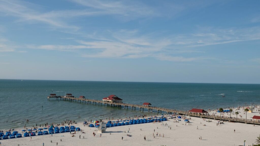 remote employment florida